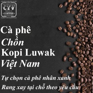 Cà phê chồn Kopi Luwak Việt Nam