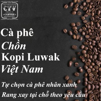 Cà phê chồn Kopi Luwak Việt Nam
