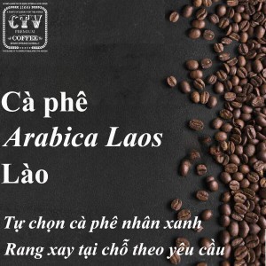 Cà phê Arabica Laos Lào