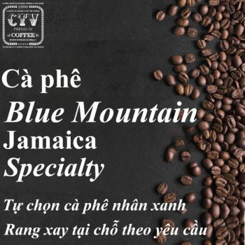 Cà phê Blue Mountain Jamaica Specialty Wet process