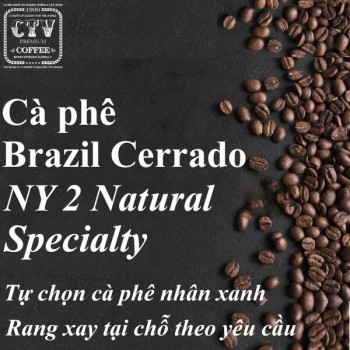 Cà phê Brazil Cerrado NY 2 Natural specialty