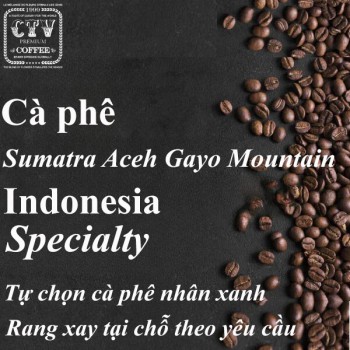 Cà phê Indonesia Sumatra Aceh Gayo Mountain specialty