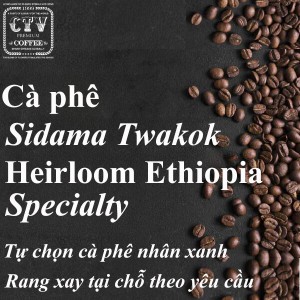 Cà phê Sidama Twakok Heirloom Ethiopia washed specialty
