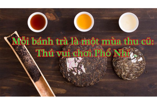 Mỗi bánh trà là một mùa thu cũ: Thú vui chơi Phổ Nhĩ