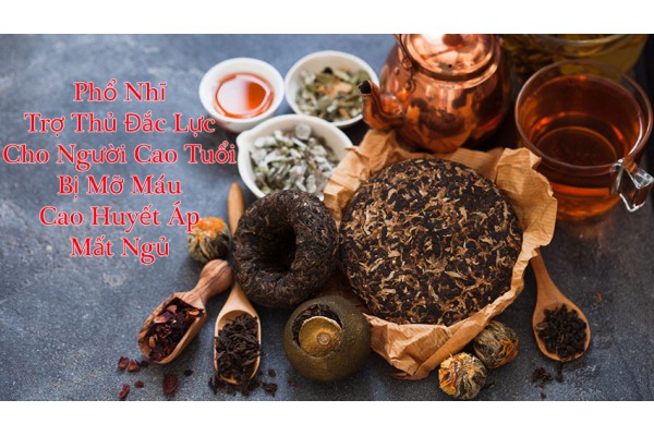 Phổ Nhĩ – Trợ Thủ Đắc Lực Cho Người Cao Tuổi Bị Mỡ Máu, Cao Huyết Áp, Mất Ngủ