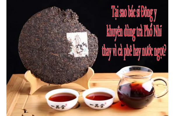 Tại sao nên dùng trà Phổ Nhĩ thay vì cà phê hay nước ngọt?