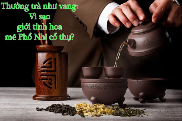 Thưởng trà như vang: Vì sao giới tinh hoa mê Phổ Nhĩ cổ thụ?