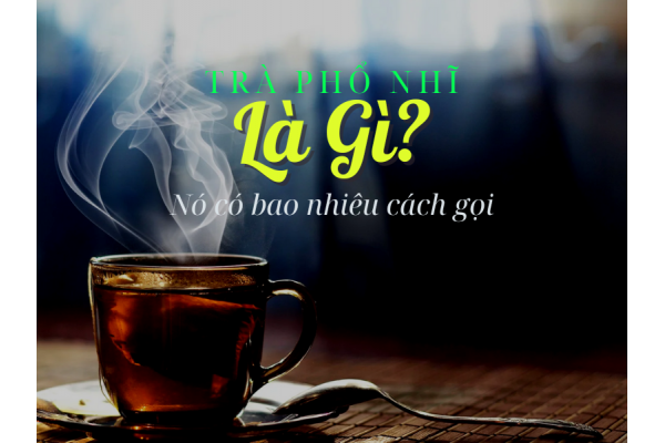 Trà phổ nhĩ là gì? Trà phổ nhĩ có bao nhiêu tên gọi?