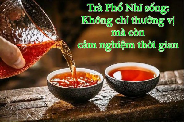 Trà Phổ Nhĩ sống: Không chỉ thưởng vị mà còn cảm nghiệm thời gian