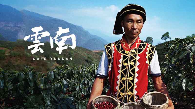 Nhiều người biết đến Vân Nam như là thủ phủ của trà, nhưng ít người biết đến cà phê Vân Nam