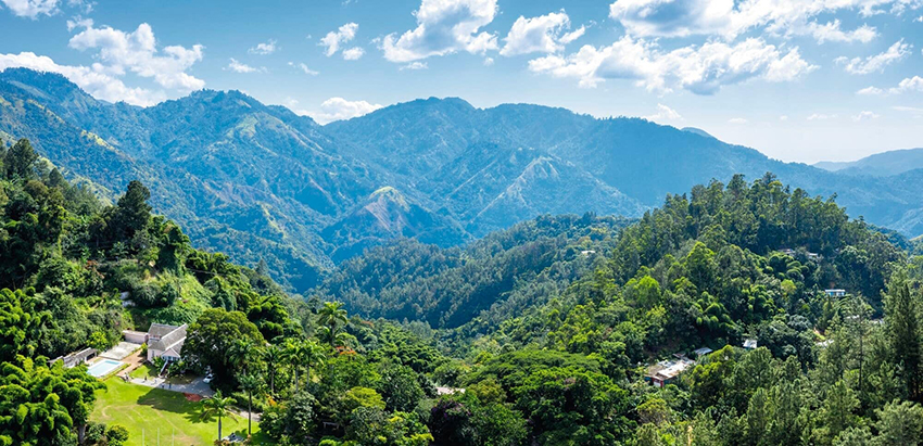 Toàn cảnh vùng núi Blue Mountain Jamaica