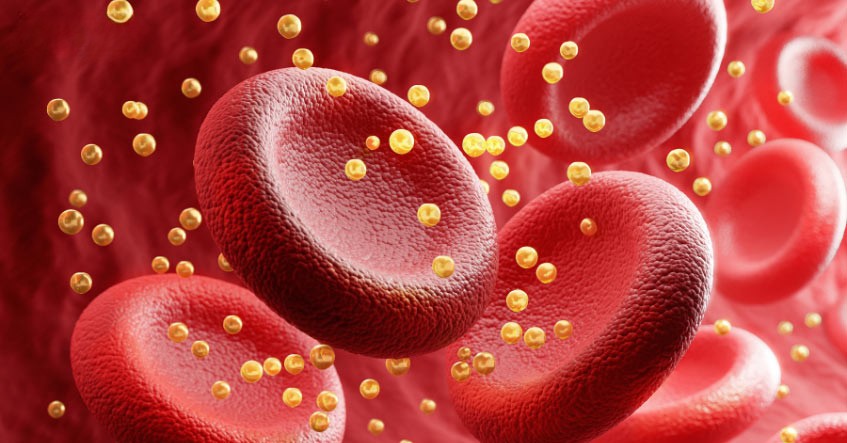 Trà Phổ Nhĩ Giảm mỡ máu, hỗ trợ điều hòa cholesterol