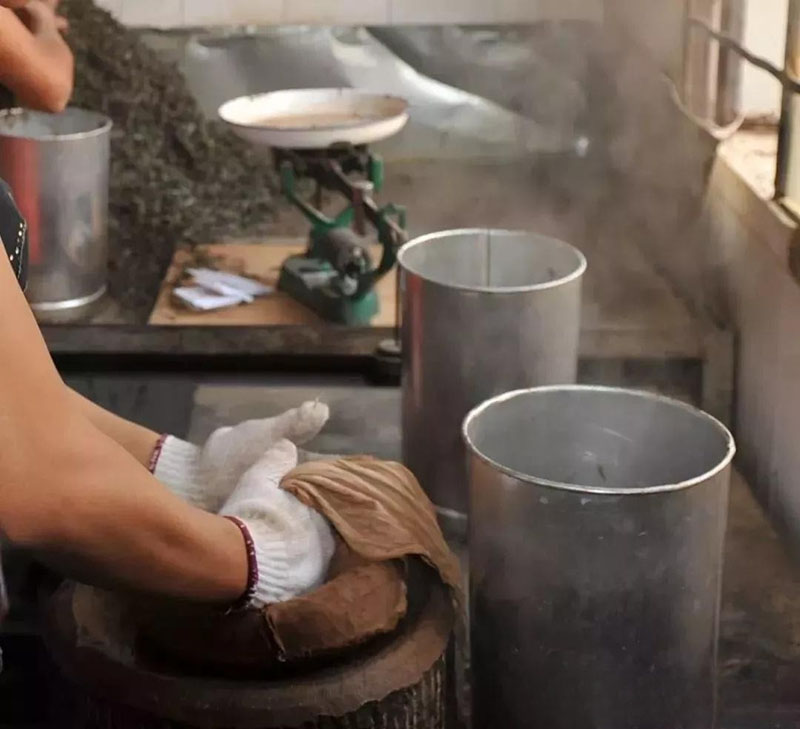 Hành trình thưởng trà không chỉ là vị giác mà còn là ký ức của đất và người.