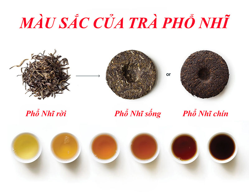Và câu hỏi "uống trà nào loại nào hợp với bạn?