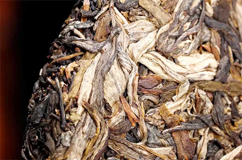 Trà Phổ Nhĩ sống – Hương vị của đất trời và năm tháng